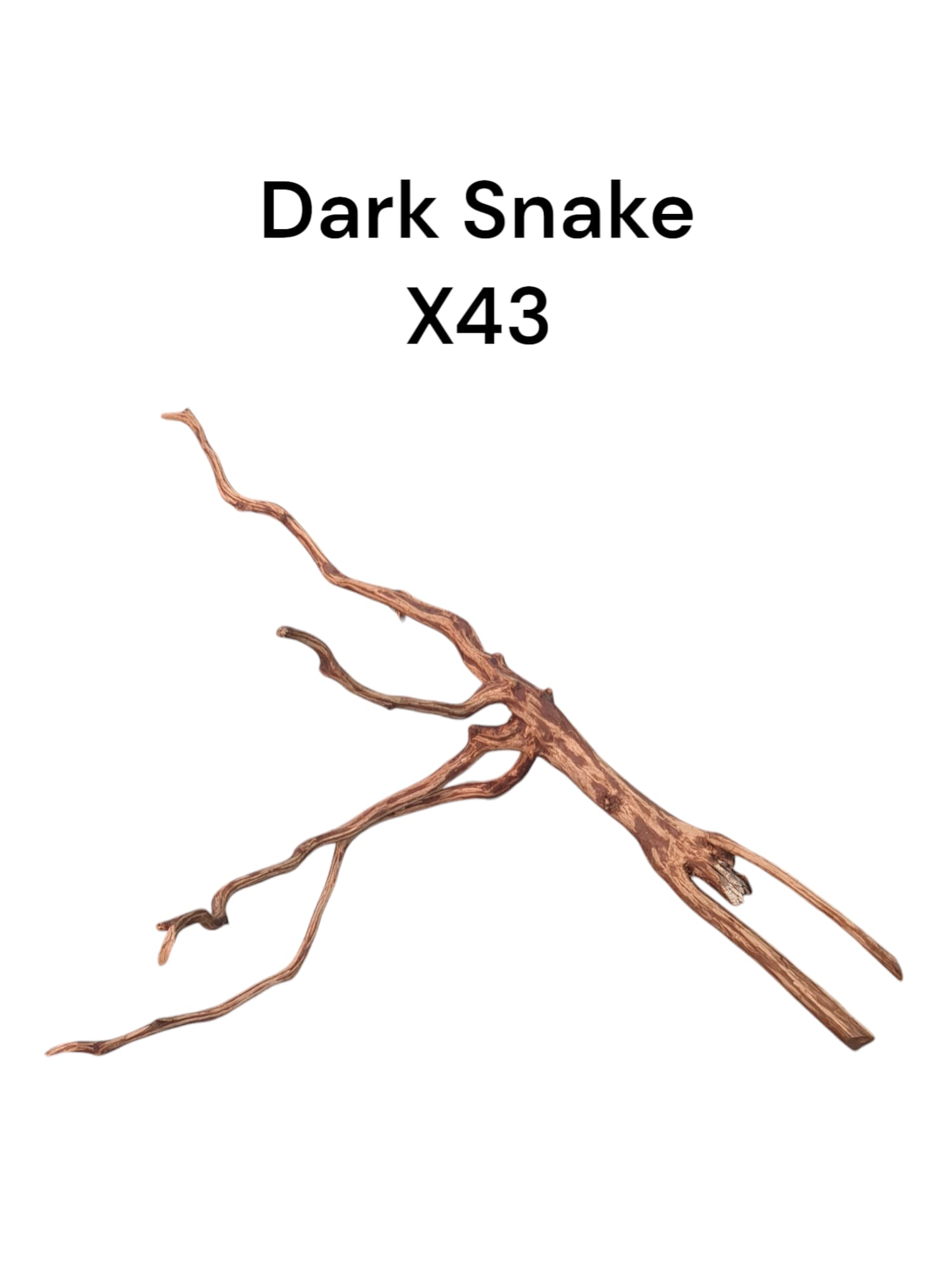 Dark Snake Wood X43